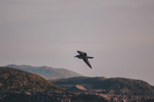 roman-manshin-348dgDBx8YY-unsplash